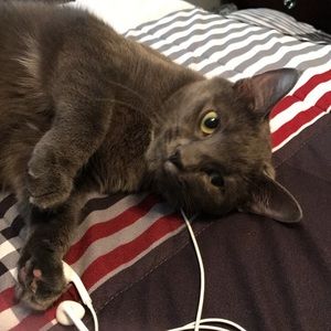 Meet your Posher, Bryan